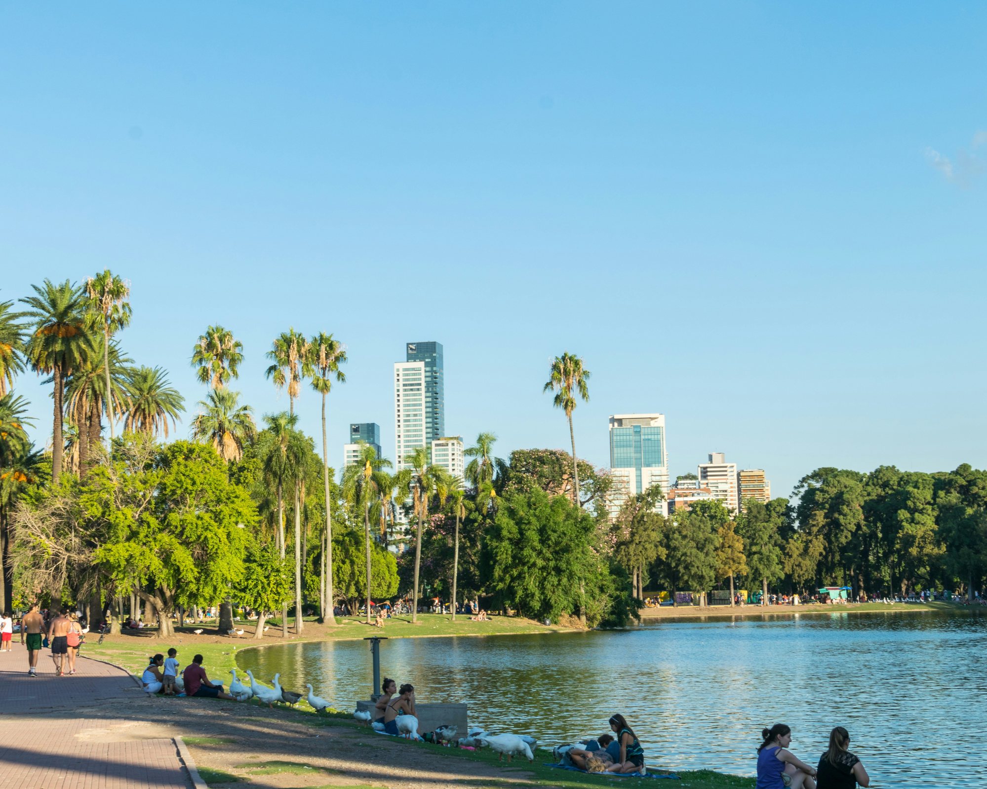 Lago en los Bosques de Palermo con palmeras y el skyline
